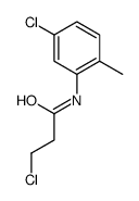 3-Chloro-N-(5-chloro-2-methylphenyl)propanamide Structure