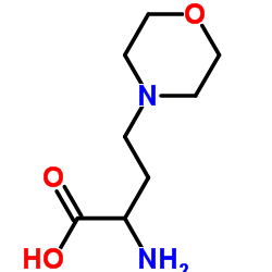 2-Amino-4-(4-morpholinyl)butanoic acid结构式