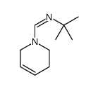 N-tert-butyl-1-(3,6-dihydro-2H-pyridin-1-yl)methanimine Structure