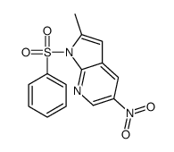 2-Methyl-5-nitro-1-(phenylsulfonyl)-1H-pyrrolo[2,3-b]pyridine Structure