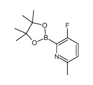 3-Fluoro-6-methylpyridine-2-boronic acid pinacol ester图片