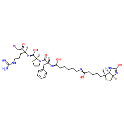 Biotinyl-ε-aminocaproyl-D-Phe-Pro-Arg-chloromethylketone Structure