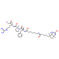 Biotinyl-ε-aminocaproyl-D-Phe-Pro-Arg-chloromethylketone structure