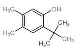 2-tert-butyl-4,5-dimethylphenol Structure