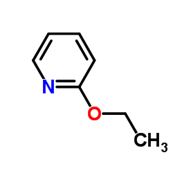2-Ethoxypyridine picture