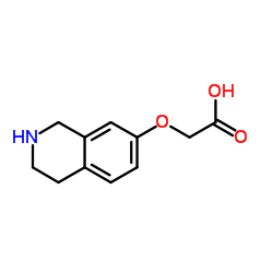 (1,2,3,4-Tetrahydro-7-isoquinolinyloxy)acetic acid Structure
