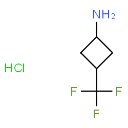 3-(trifluoromethyl)cyclobutan-1-amine hydrochloride图片