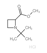 methyl 1-tert-butylazetidine-2-carboxylate结构式