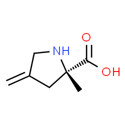 L-Proline, 2-methyl-4-methylene- (9CI) picture
