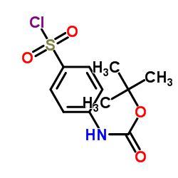 (4-(氯磺酰基)苯基)氨基甲酸叔丁酯结构式