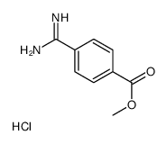 Methyl 4-Carbamimidoylbenzoate Hydrochloride picture