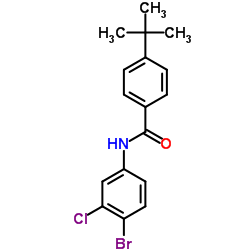 N-(4-Bromo-3-chlorophenyl)-4-(2-methyl-2-propanyl)benzamide Structure