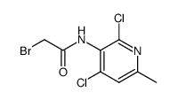 N-[2,4-dichloro-6-methylpyridin-3-yl]-2-bromoacetamide图片