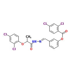 3-[(E)-{[2-(2,4-Dichlorophenoxy)propanoyl]hydrazono}methyl]phenyl 2,4-dichlorobenzoate Structure