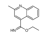4-Quinolinecarboximidicacid,2-methyl-,ethylester(9CI) structure