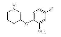 3-(4-fluoro-2-methylphenoxy)piperidine结构式