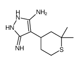 4-(2,2-dimethylthian-4-yl)-1H-pyrazole-3,5-diamine结构式