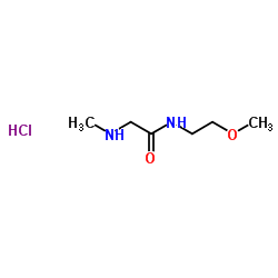 N-(2-Methoxyethyl)-N2-methylglycinamide hydrochloride (1:1)结构式