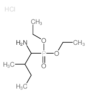 Phosphonic acid,(1-amino-2-methylbutyl)-, diethyl ester, hydrochloride (8CI) picture