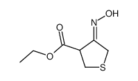 3-Thiophenecarboxylicacid,tetrahydro-4-(hydroxyimino)-,ethylester(9CI)结构式