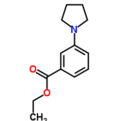 3-PYRROLIDIN-1-YL-BENZOIC ACID ETHYL ESTER结构式