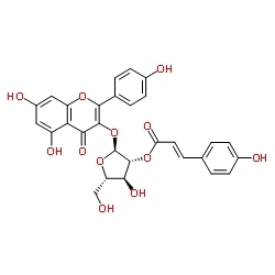 2''-O-香豆酰基胡桃苷图片