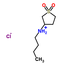 N-BUTYL-N-(1,1-DIOXIDOTETRAHYDROTHIEN-3-YL)AMINE HYDROCHLORIDE结构式