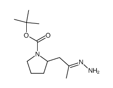 tert-butyl 2-(2-hydrazonopropyl)pyrrolidine-1-carboxylate结构式