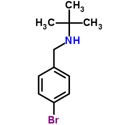 N-(4-Bromobenzyl)-2-methyl-2-propanamine picture
