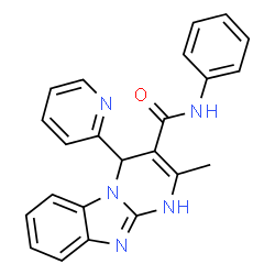 2-Methyl-N-phenyl-4-(2-pyridinyl)-1,4-dihydropyrimido[1,2-a]benzimidazole-3-carboxamide结构式