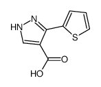 3-(2-噻吩)-1H-吡唑-4-羧酸结构式