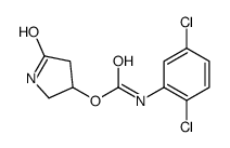 (5-oxopyrrolidin-3-yl) N-(2,5-dichlorophenyl)carbamate结构式