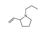 2-ethenyl-1-propylpyrrolidine结构式