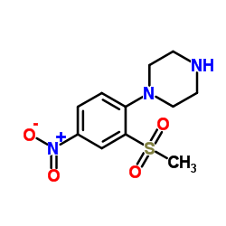 1-[2-(Methylsulfonyl)-4-nitrophenyl]piperazine picture