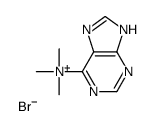 trimethyl(7H-purin-6-yl)azanium,bromide Structure