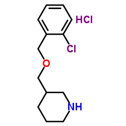 3-{[(2-Chlorobenzyl)oxy]methyl}piperidine hydrochloride (1:1)图片