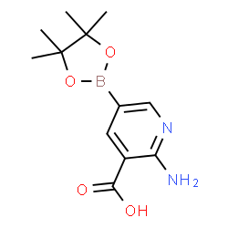 2-Amino-5-(4,4,5,5-tetramethyl-1,3,2-dioxaborolan-2-yl)nicotinic acid picture