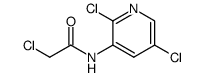 2-chloro-N-(2,5-dichloro-pyridin-3-yl)-acetamide Structure