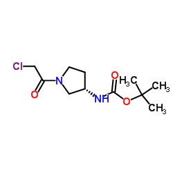 2-Methyl-2-propanyl [(3S)-1-(chloroacetyl)-3-pyrrolidinyl]carbamate结构式