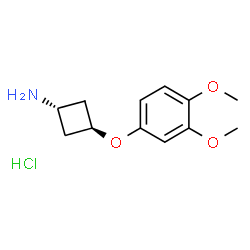 cyclobutanamine, 3-(3,4-dimethoxyphenoxy)-, hydrochloride (1:1), trans- Structure