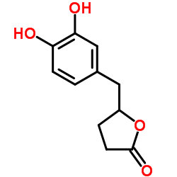5-(3,4-Dihydroxybenzyl)dihydro-2(3H)-furanone Structure