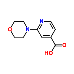 2-(4-Morpholinyl)isonicotinic acid Structure