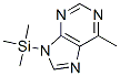 6-Methyl-9-(trimethylsilyl)-9H-purine picture