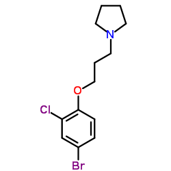 1-[3-(4-Bromo-2-chlorophenoxy)propyl]pyrrolidine结构式