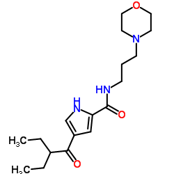 4-(2-Ethylbutanoyl)-N-[3-(4-morpholinyl)propyl]-1H-pyrrole-2-carboxamide结构式