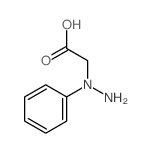 Acetic acid,(1-phenylhydrazino)-结构式