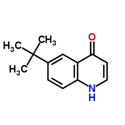 6-tert-Butylquinolin-4-ol Structure