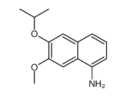 7-methoxy-6-propan-2-yloxynaphthalen-1-amine Structure