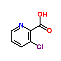 3-Chloropicolinic acid picture