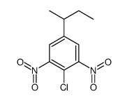 5-butan-2-yl-2-chloro-1,3-dinitrobenzene Structure